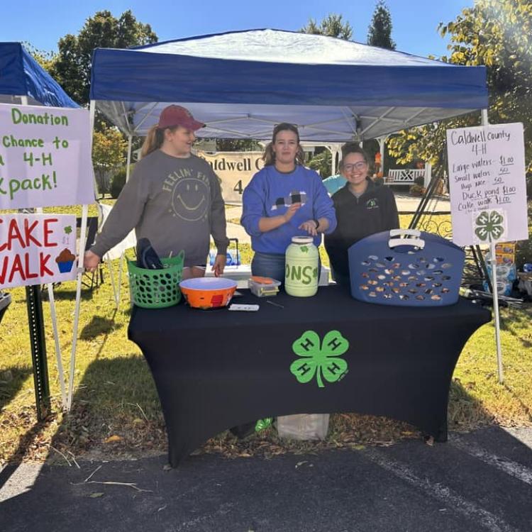  4-H Booth at Black Patch