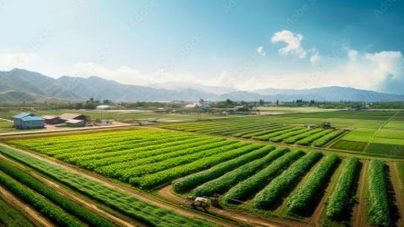 Corn, Soybean, and Tobacco